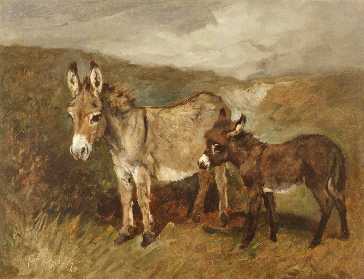 الحمير على مور ، ج .1890 بواسطة جون إيمز