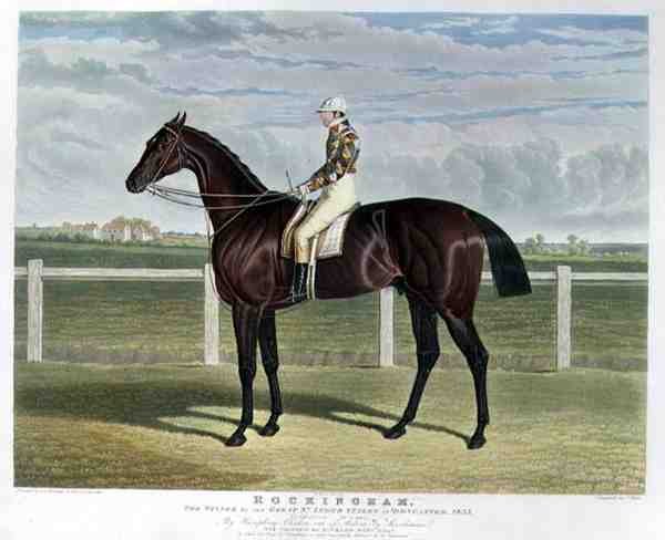 "Rockingham" ، الفائز بسباق Great St. Leger Stakes في دونكاستر بواسطة جون فريدريك هيرينج الأب