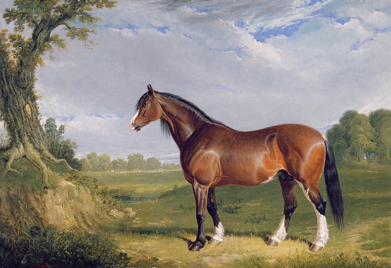 A Clydesdale Stallion ، 1820 بواسطة جون فريدريك هيرينج الأب