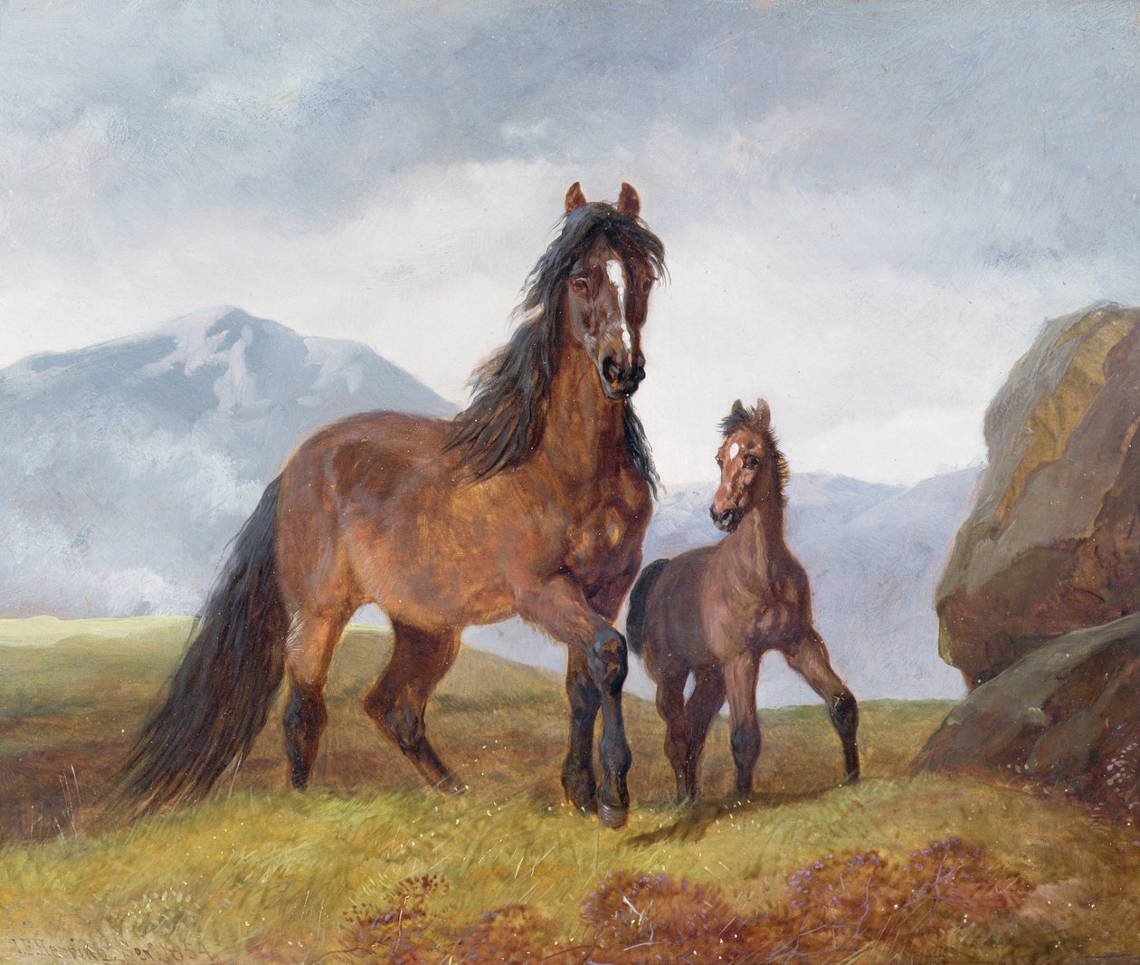 A Mountain Welsh Mountain Mare and Foal، 1854 (لوحة) بواسطة جون فريدريك هيرينج الأب