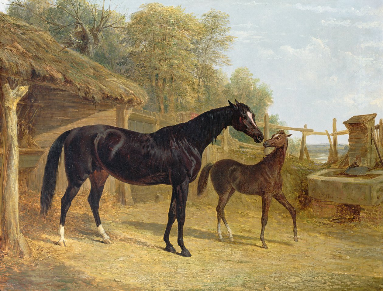 ليفيتي ، ملكية JCCockerill Esq. ، مع مهرها الملكة إليزابيث ، ملك اللورد دورشيستر ، 1843 بواسطة جون فريدريك هيرينج الأب