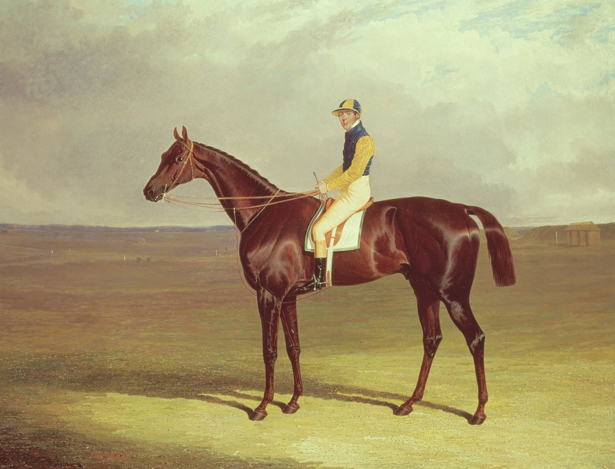 السيد M. Stanleys Crutch في نيوماركت هيث ، 1833 بواسطة جون فريدريك هيرينج الأب