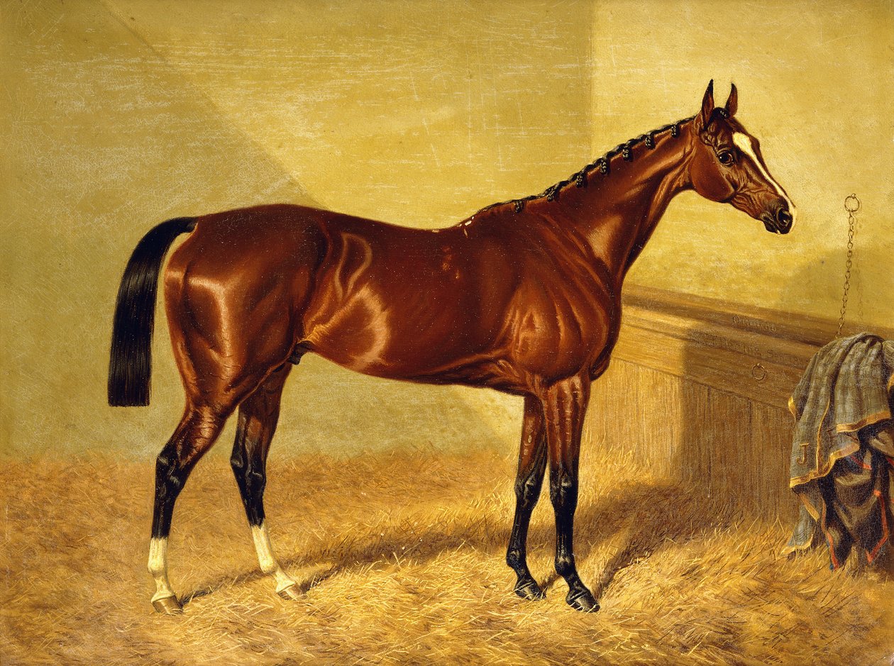 أورلاندو ، خليج Racehorse في Loosebox ، 1845 بواسطة جون فريدريك هيرينج الأب