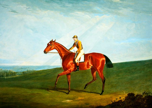 Ringlet مع J. Jackson Up ، حوالي عام 1823 (زيت على قماش) بواسطة جون فريدريك هيرينج الأب