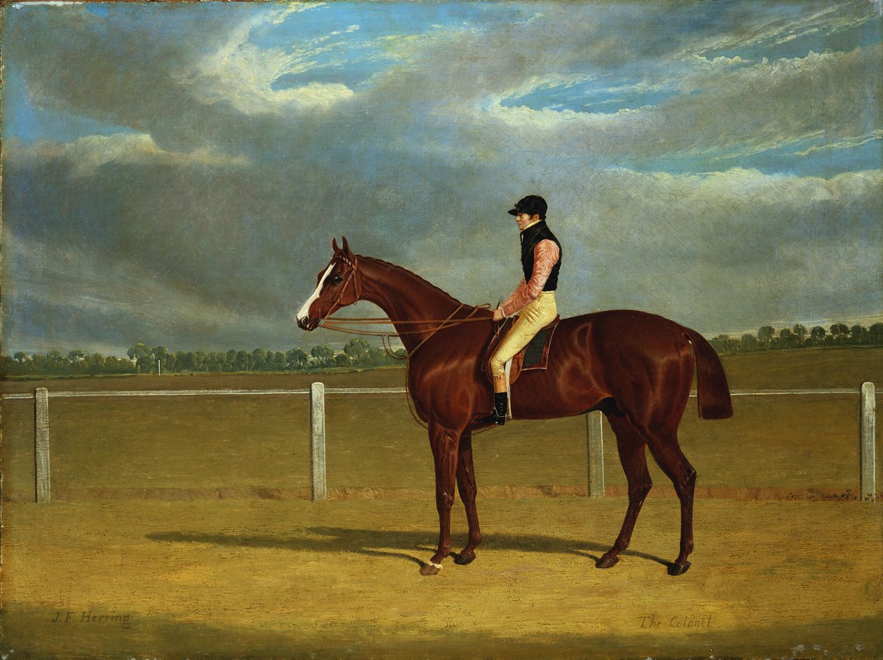 The Racehorse "العقيد" مع ويليام سكوت بواسطة جون فريدريك هيرينج الأب