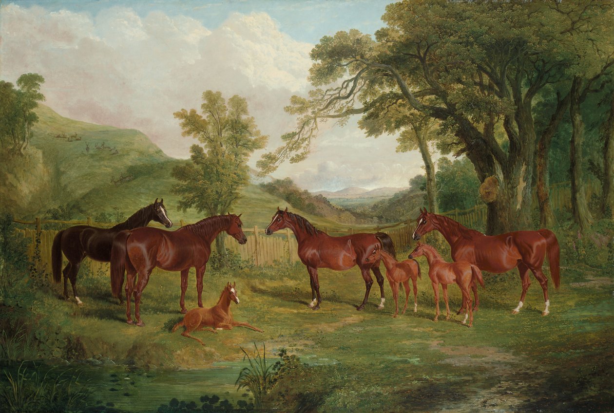 The Streatlam Stud ، الأفراس والمهرات ، 1836 بواسطة جون فريدريك هيرينج الأب