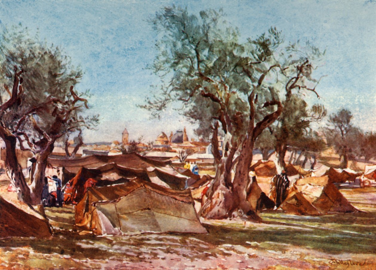 مخيم بدوي خارج الجدار الشمالي للقدس ، 1902. بواسطة جون فوليلوف