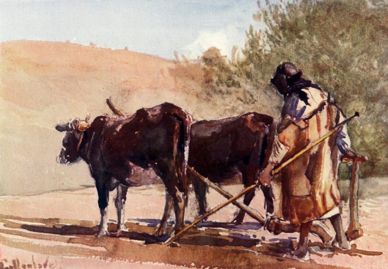 الحرث على جبل الزيتون 1902. بواسطة جون فوليلوف
