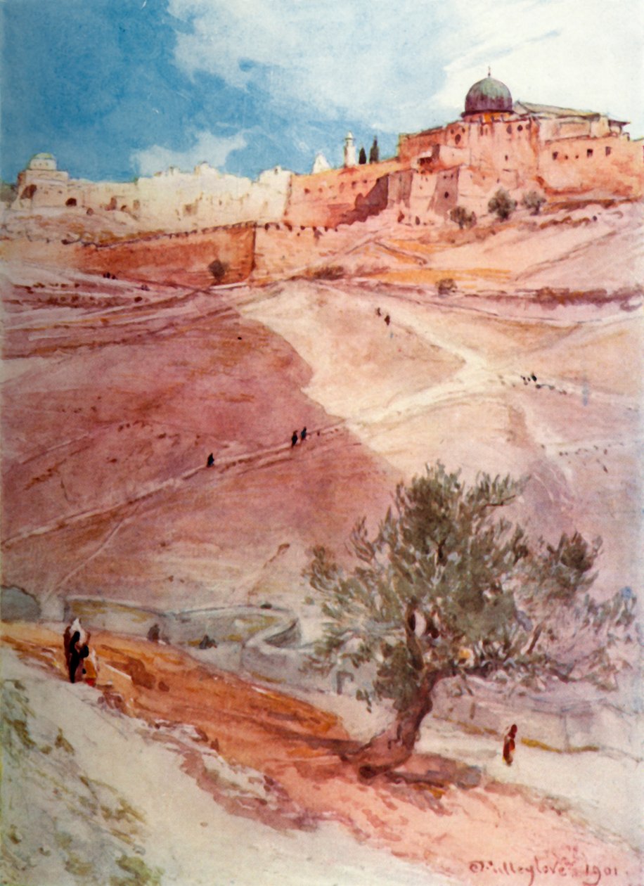 سور جنوب القدس من الطرف الشمالي لقرية سلوام ، 1902. بواسطة جون فوليلوف