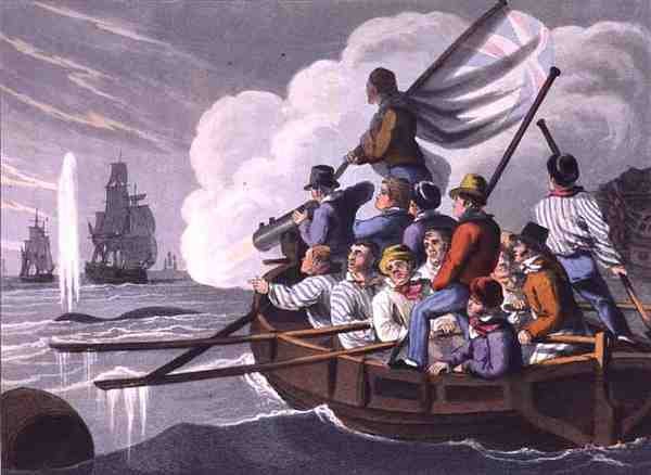 إطلاق النار على هاربون على حوت ، نقشها ماثيو دوبورج (من 1785 إلى 1820) ، نشره إدوارد أورم بواسطة جون هيفيسايد (بعد) كلارك