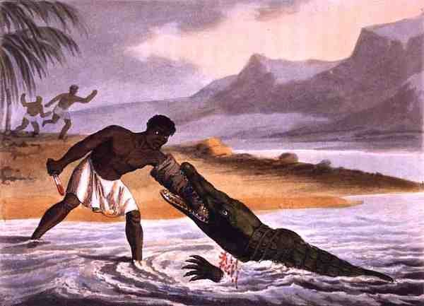 صيادو التماسيح الأفريقية ، نقشها ماثيو دوبورج (من 1785 إلى 1820) ، نشره إدوارد أورم بواسطة جون هيفيسايد (بعد) كلارك