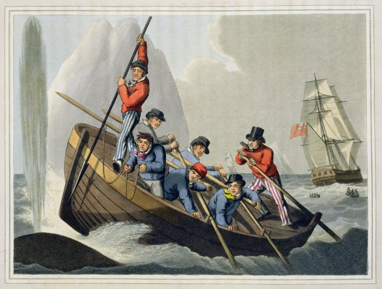 قارب سفينة يهاجم حوتًا ، نقشه ماثيو دوبورج (fl.1785-1820) ، نشره إدوارد أورم ، 1813 بواسطة جون هيفيسايد كلارك