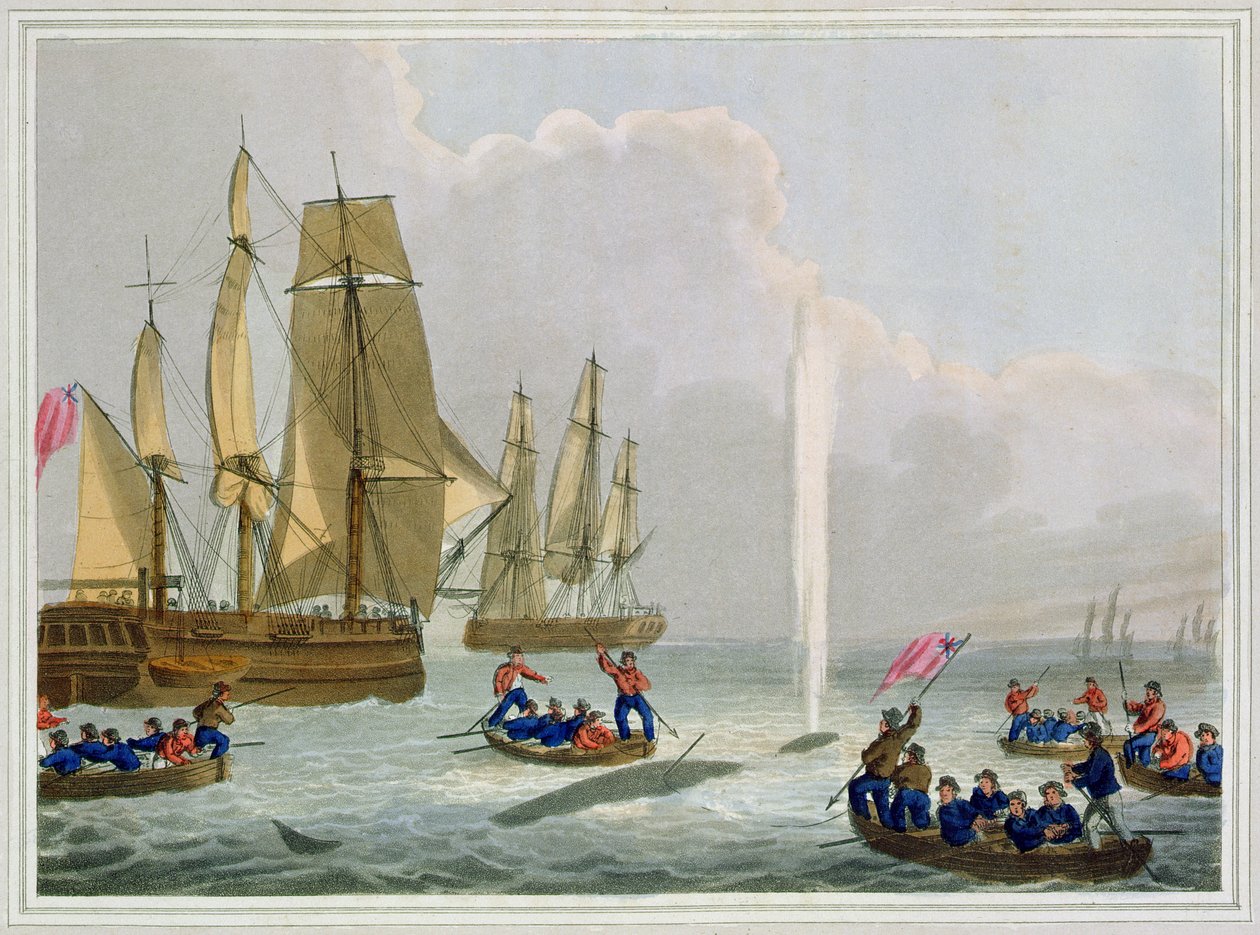 قوارب تقترب من الحوت ، نقشها ماثيو دوبورج (fl.1785-1820) ، نشرها إدوارد أورم ، 1813 بواسطة جون هيفيسايد كلارك