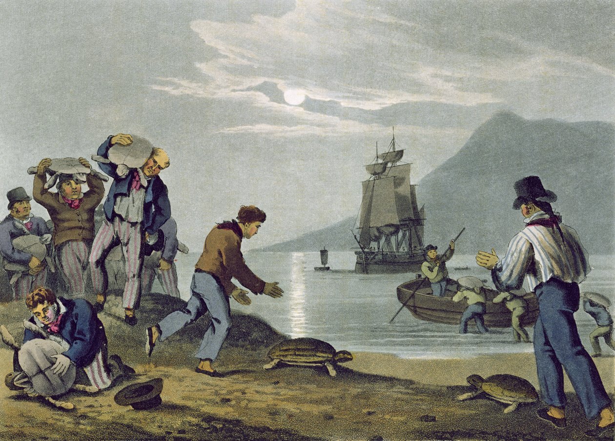 صيد السلحفاة على الأرض ، منقوش من قبل ماثيو دوبورج (fl.1785-1820) ، نشره إدوارد أورم ، 1813 بواسطة جون هيفيسايد كلارك
