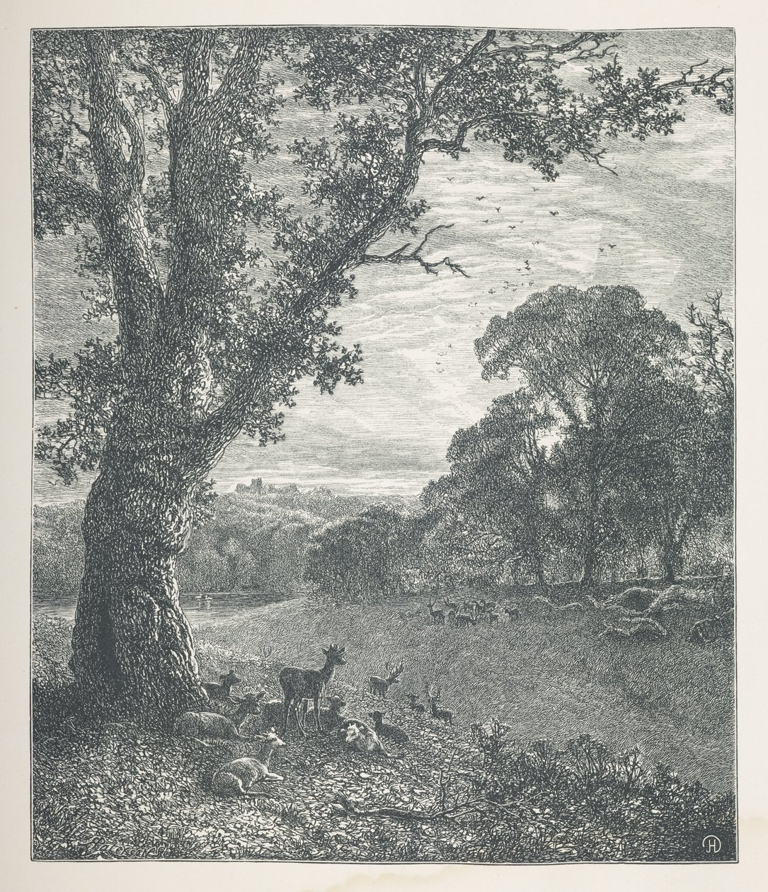 اللوحة 3. الغزلان حول شجرة.  صور الطبيعة. سلسلة من ثلاثين رسمًا إيضاحيًا أصليًا رسمها جيه إتش ديل ونقشها آر. باترسون.  جون هنري ديل بواسطة جون هنري ديل