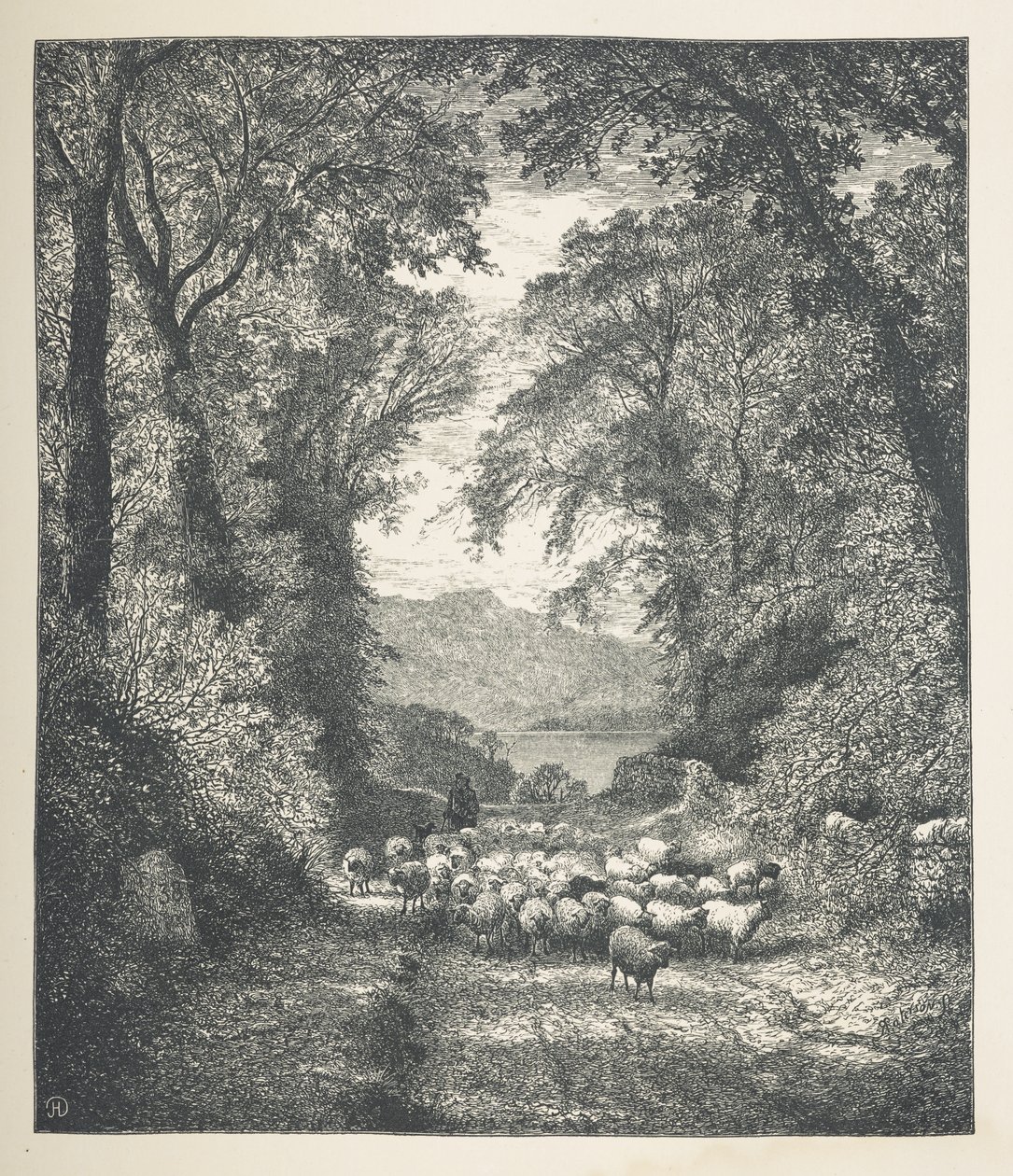 اللوحة 4. الأغنام يقودها الراعي على طول الطريق.  صور الطبيعة. سلسلة من ثلاثين رسمًا إيضاحيًا أصليًا رسمها جيه إتش ديل ونقشها آر. باترسون.  جون هنري ديل بواسطة جون هنري ديل