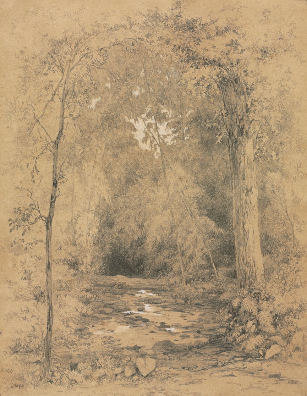 الداخلية للغابات ، ج. 1870. بواسطة جون هنري هيل