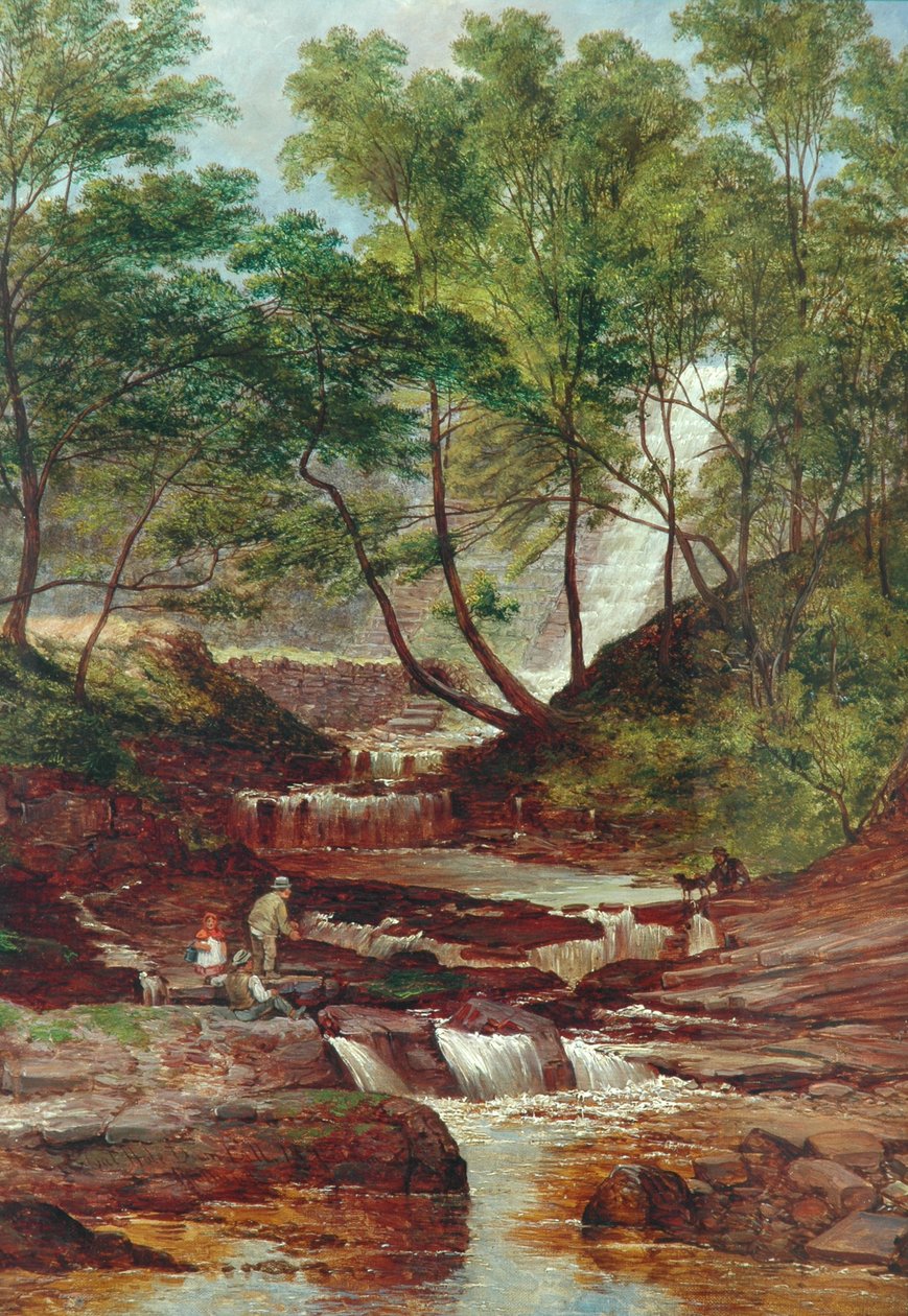 يقع سد ثقوب القط في Todmorden ، 1870 بواسطة جون هولاند
