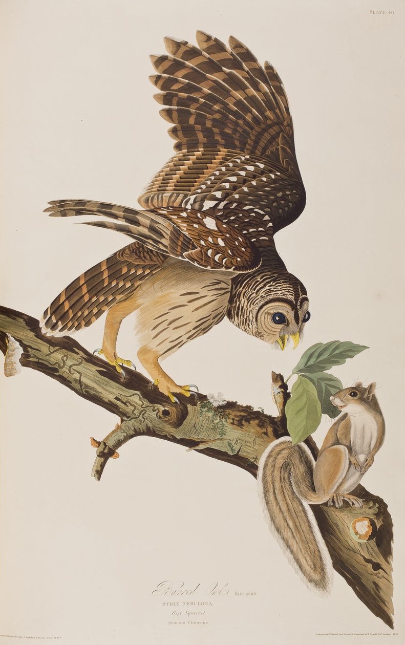 Illustration from 