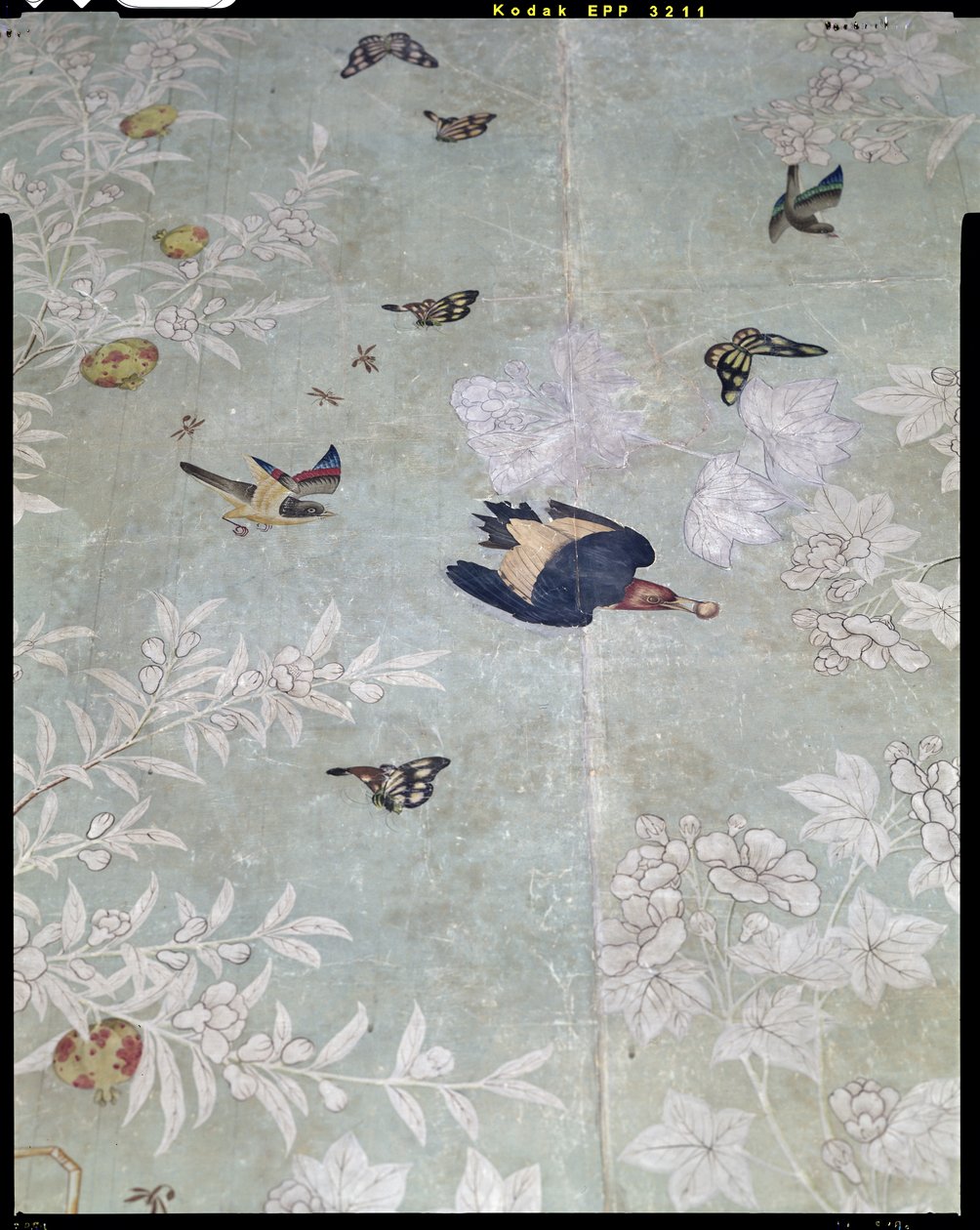 نقار خشب أحمر الرأس ، مقطوع من "The Birds of America" ولصق على ورق حائط صيني مرسوم باليد (مجمعة) بواسطة جون جيمس أودوبون