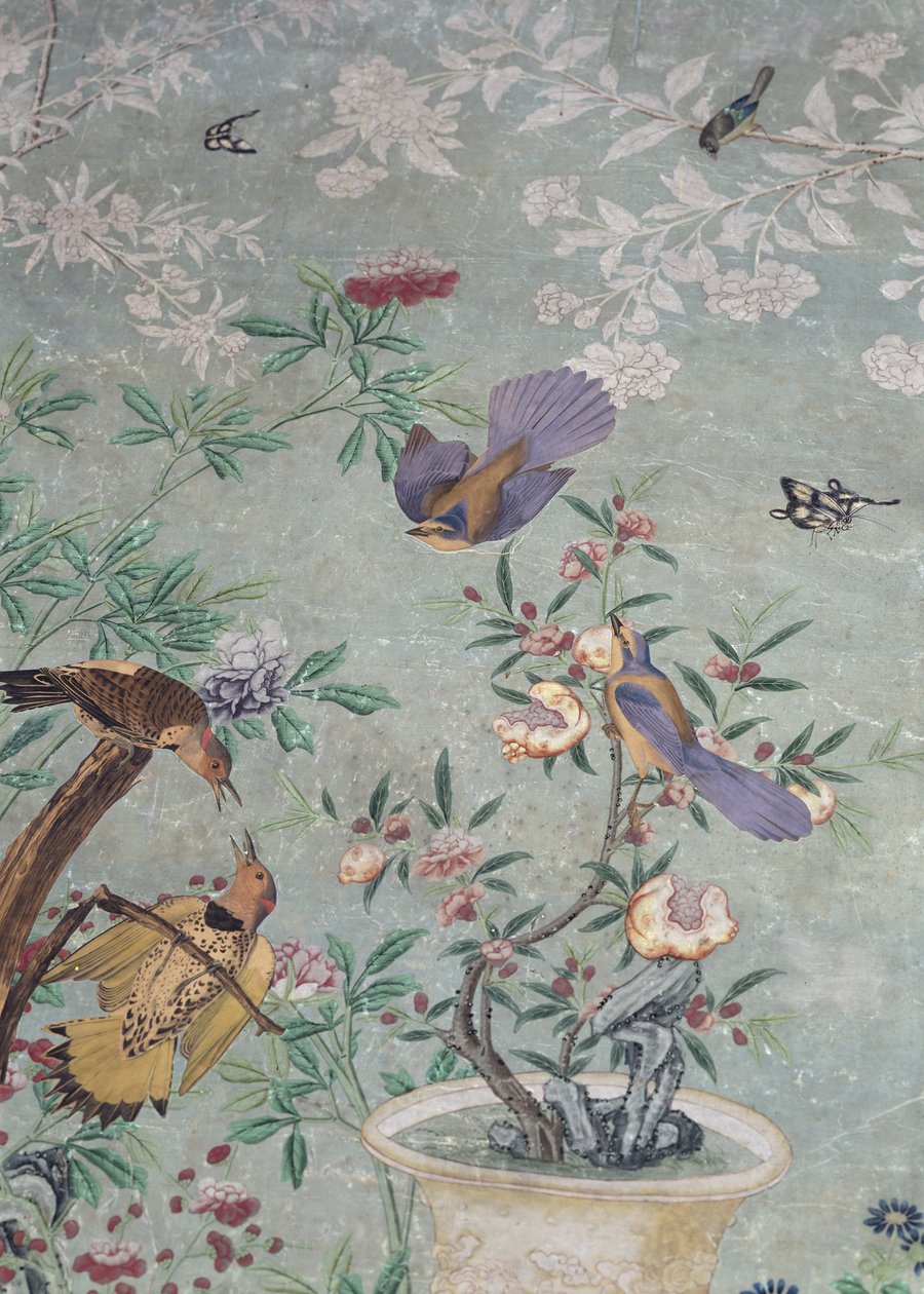 A yellow shafted flicker, cut from 