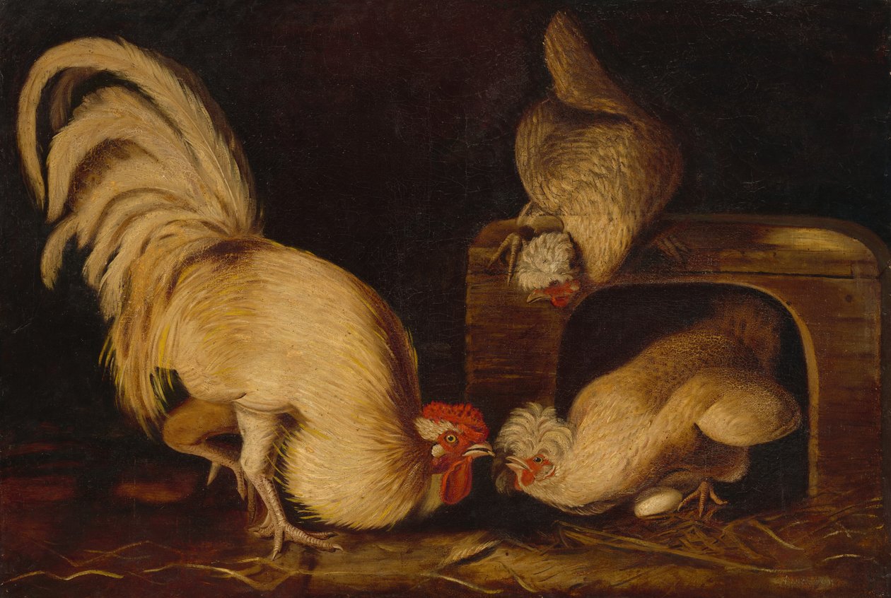 طيور المزرعة ، ج. 1827. بواسطة جون جيمس أودوبون
