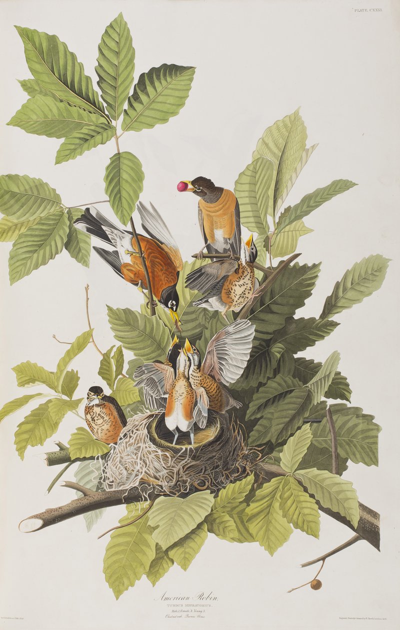 Illustration from 