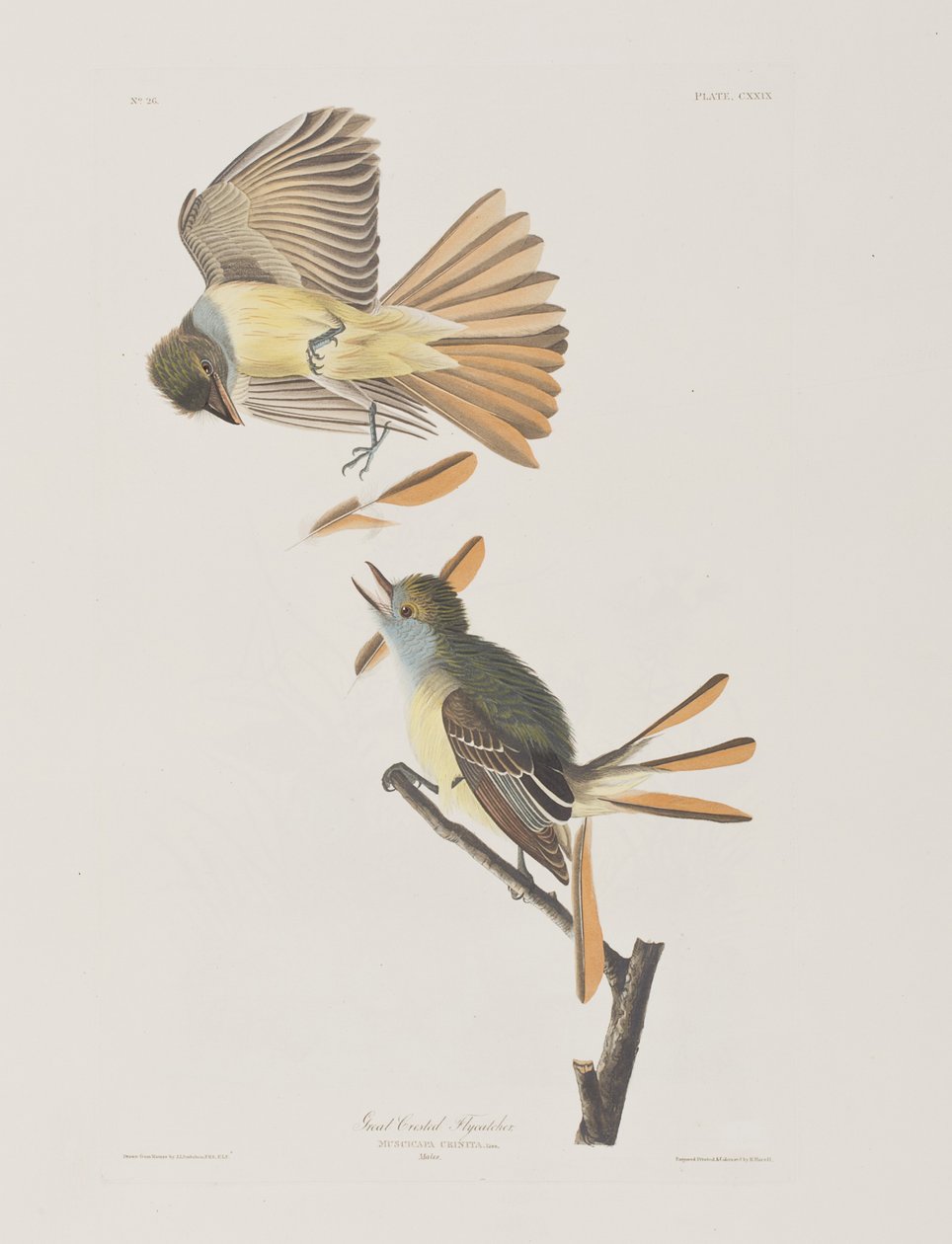 Illustration from 