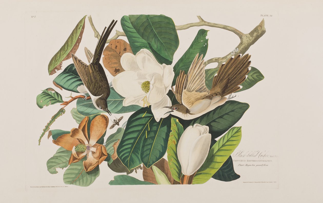 Illustration from 