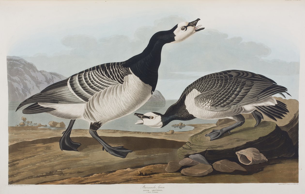 Illustration from 
