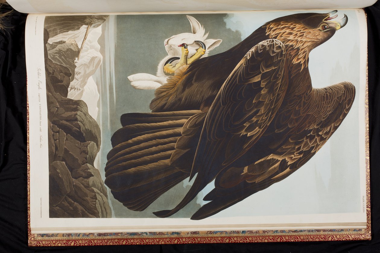Illustration from 