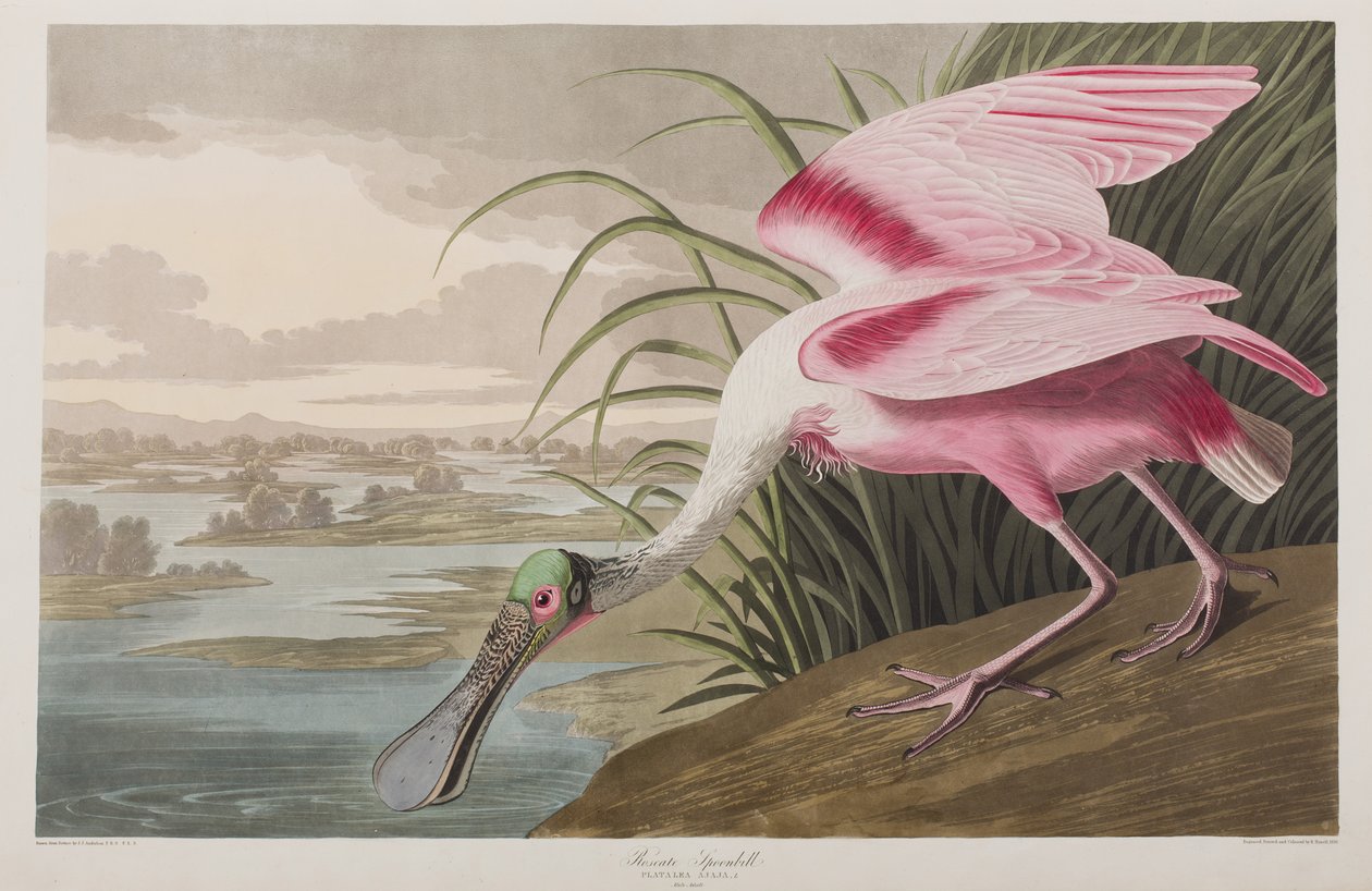 Illustration from 