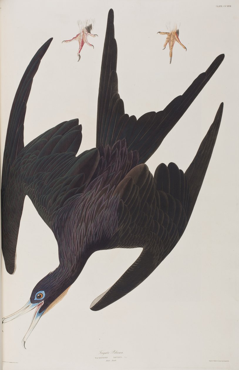 Illustration from 