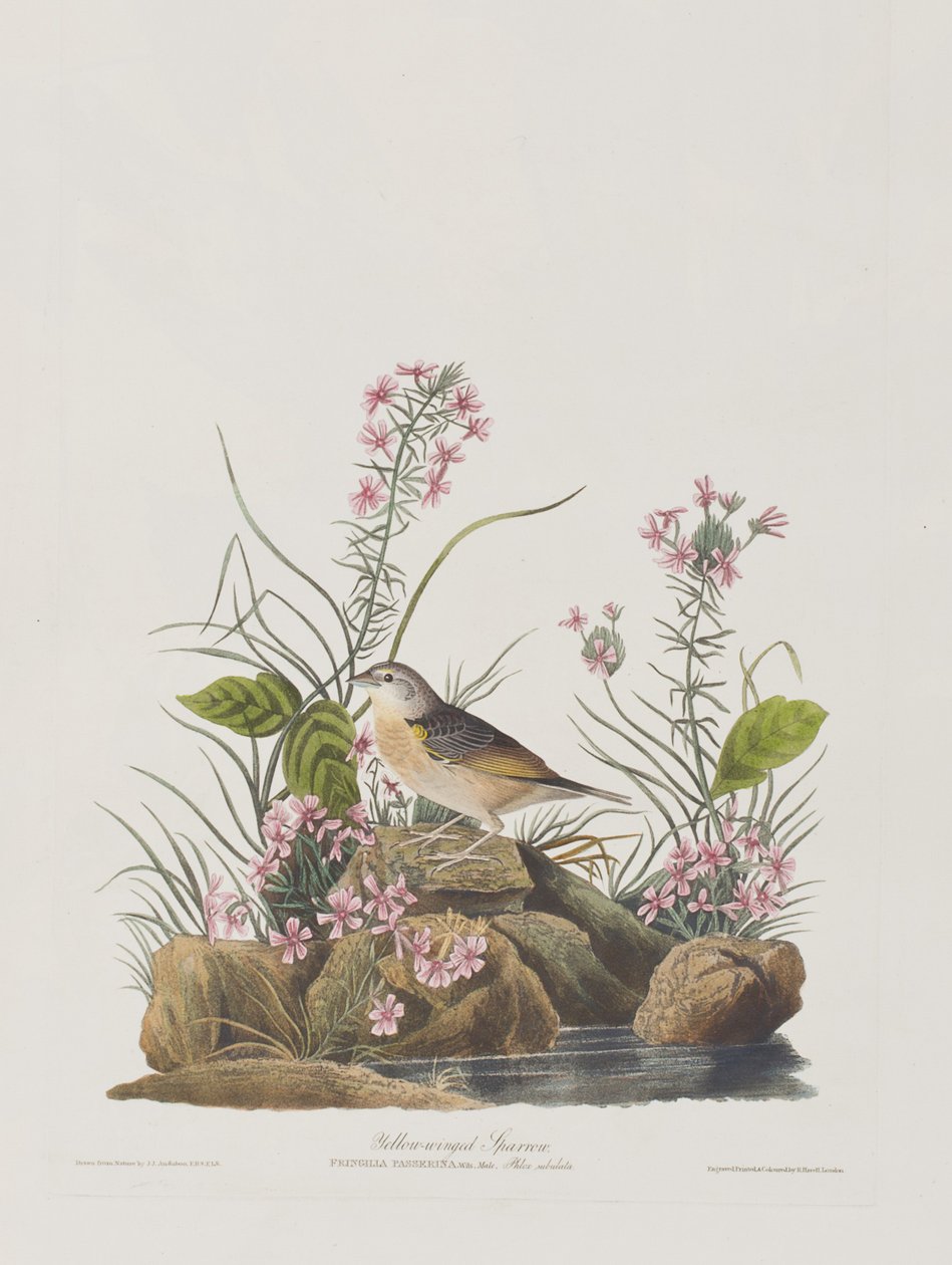 Illustration from 