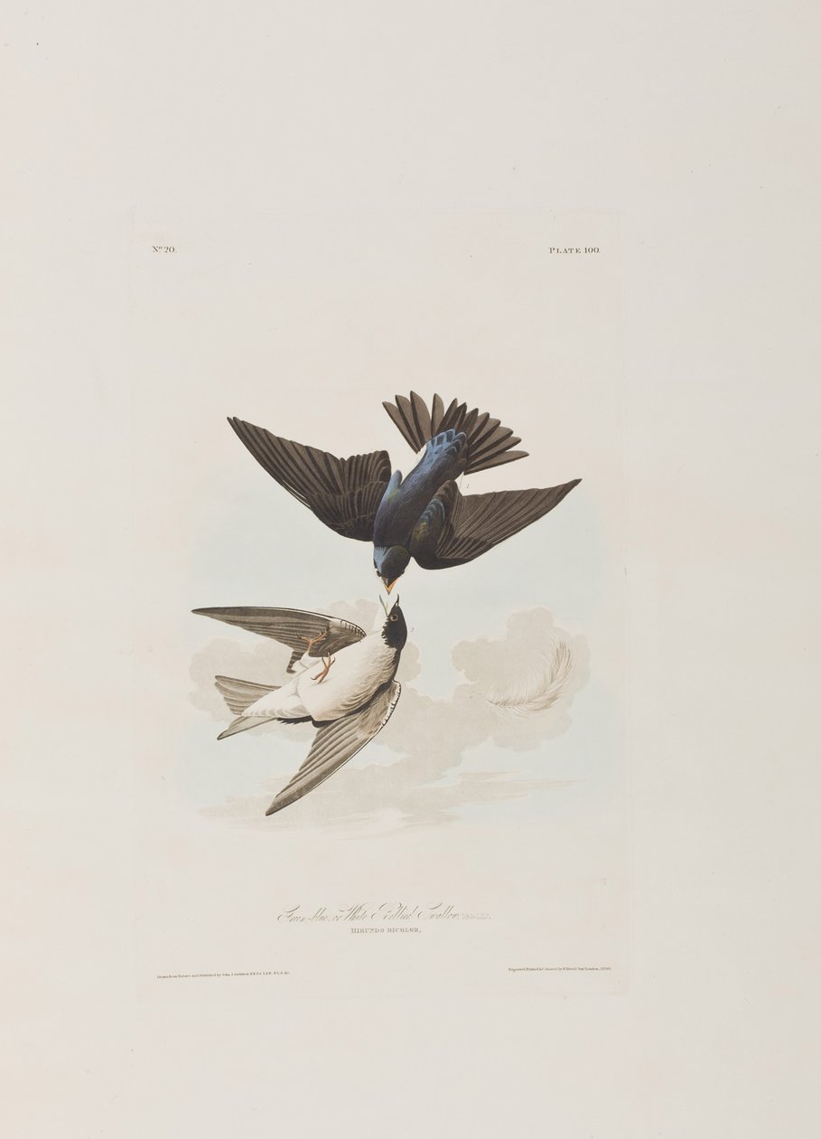 Illustration from 