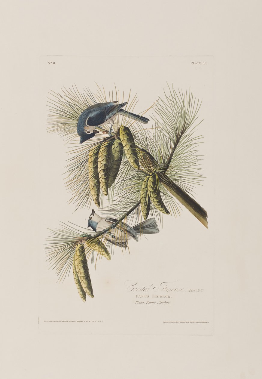 Illustration from 