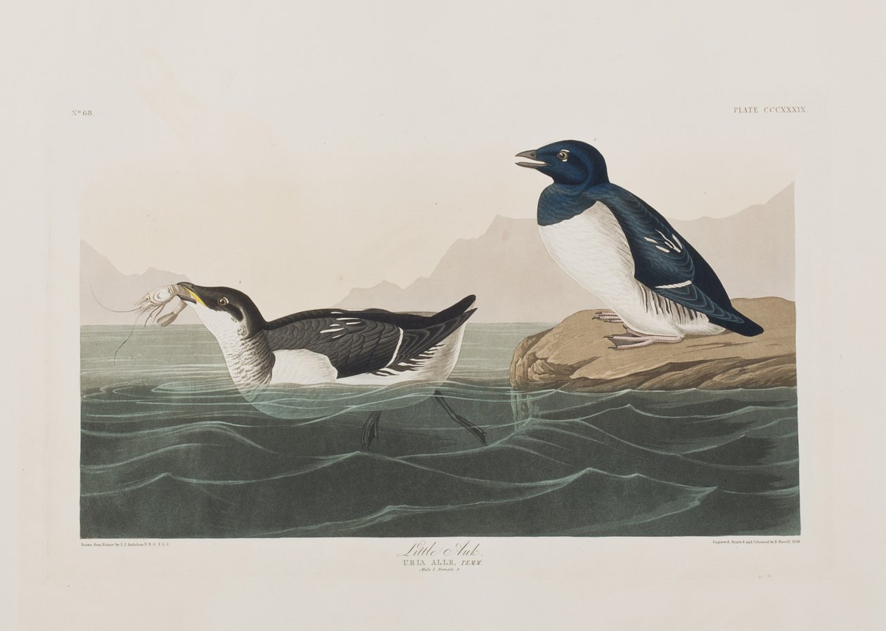 Illustration from 