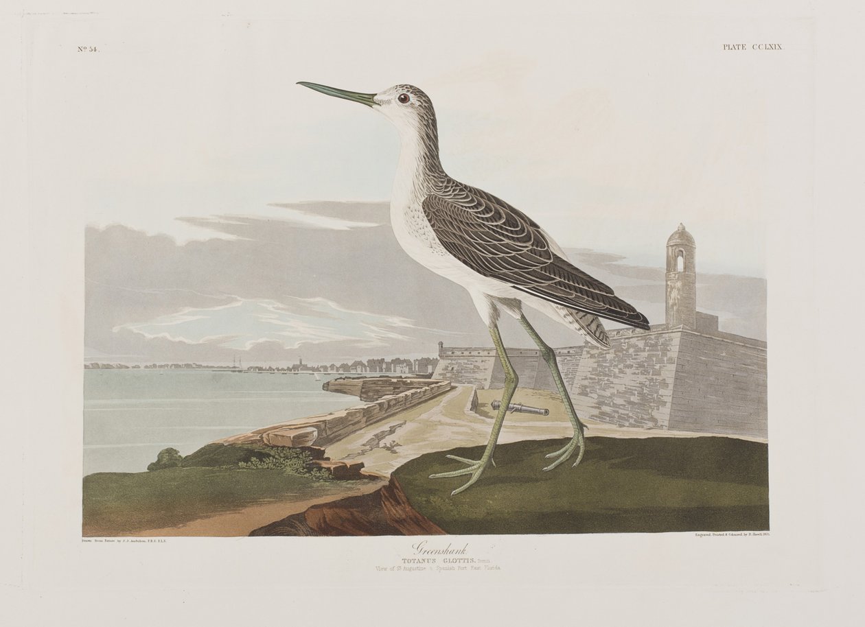 Illustration from 
