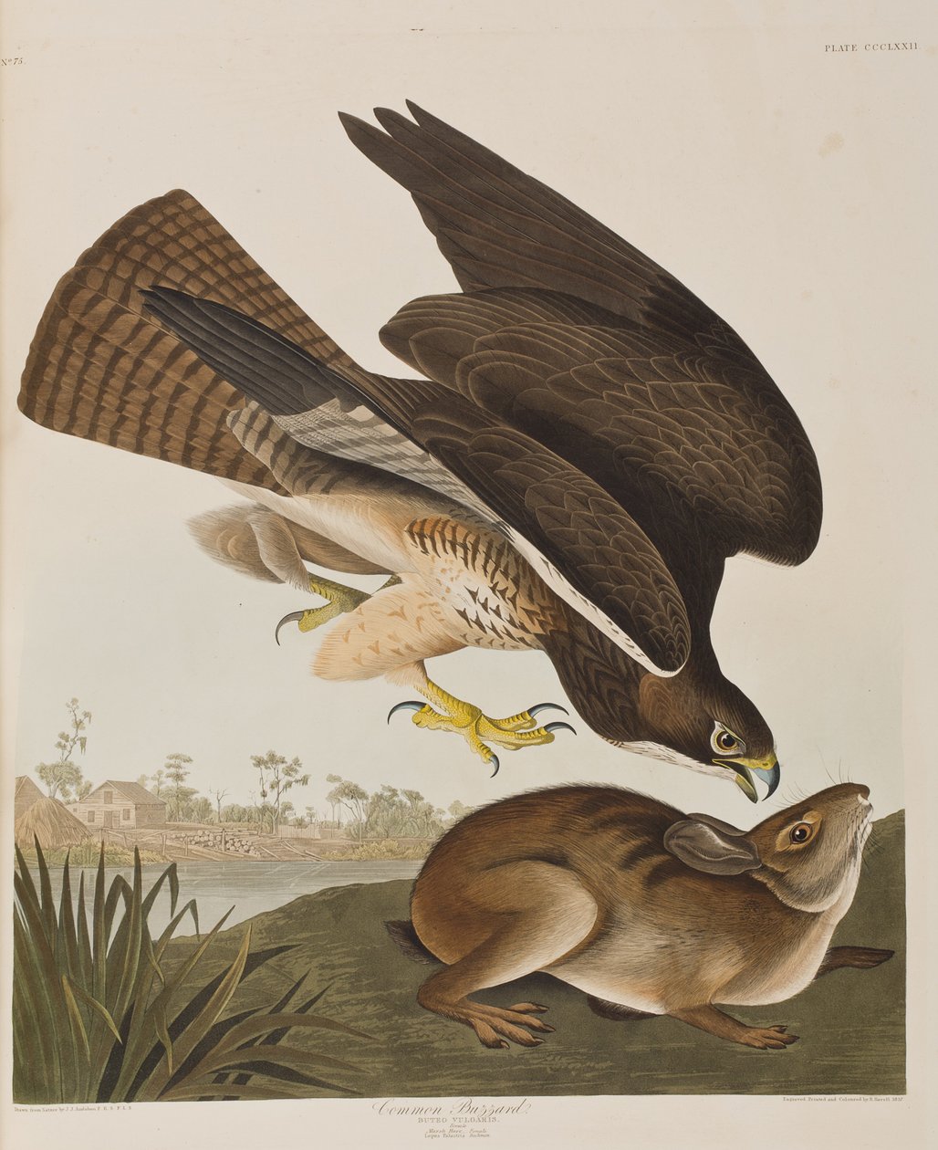 Illustration from 
