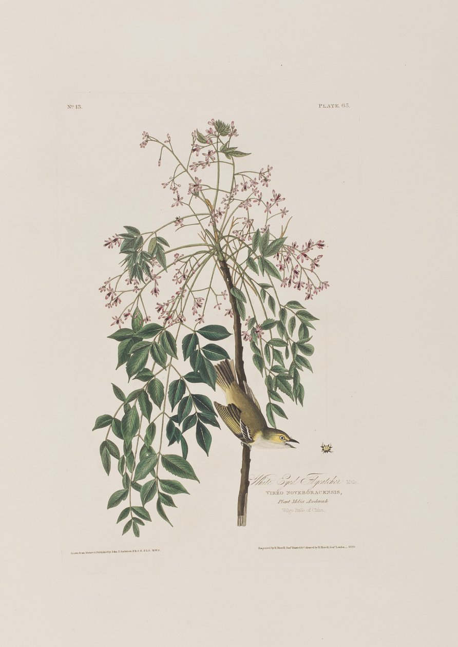 Illustration from 