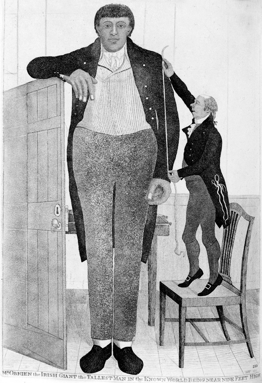 السيد OBrien ، العملاق الأيرلندي ، أطول رجل في العالم المعروف ، 1803. بواسطة جون كاي