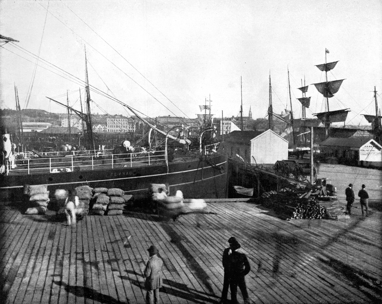 ميناء أوكلاند ، نيوزيلندا ، 1893. بواسطة جون ل. ستودارد