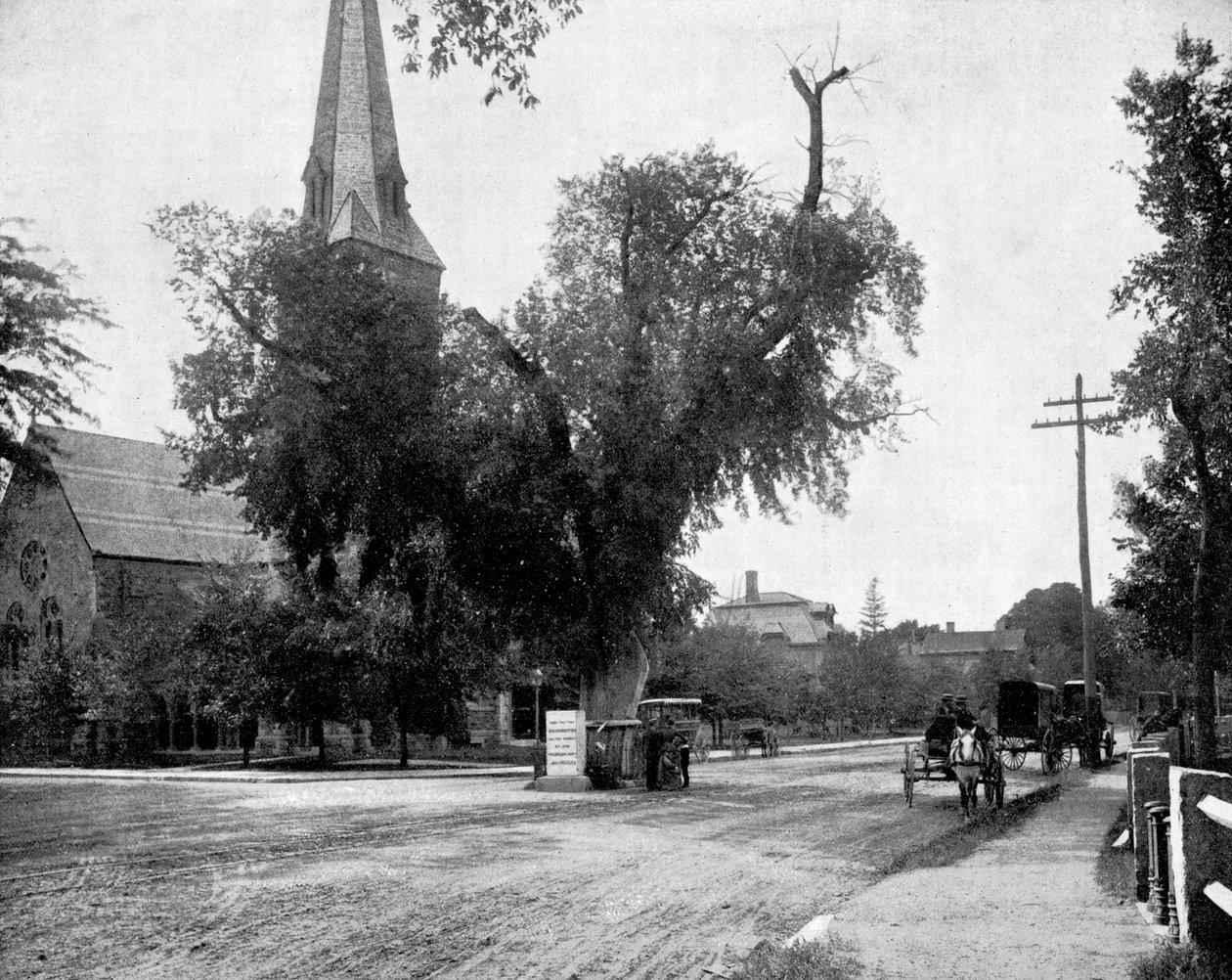 Washington Elm and Memorial Stone ، كامبريدج ، ماساتشوستس ، الولايات المتحدة الأمريكية ، 1893. بواسطة جون ل. ستودارد
