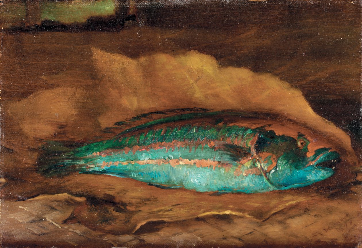 دراسة أسماك الببغاء ، ساموا ، 1890 بواسطة جون لا فارج أو لافارج