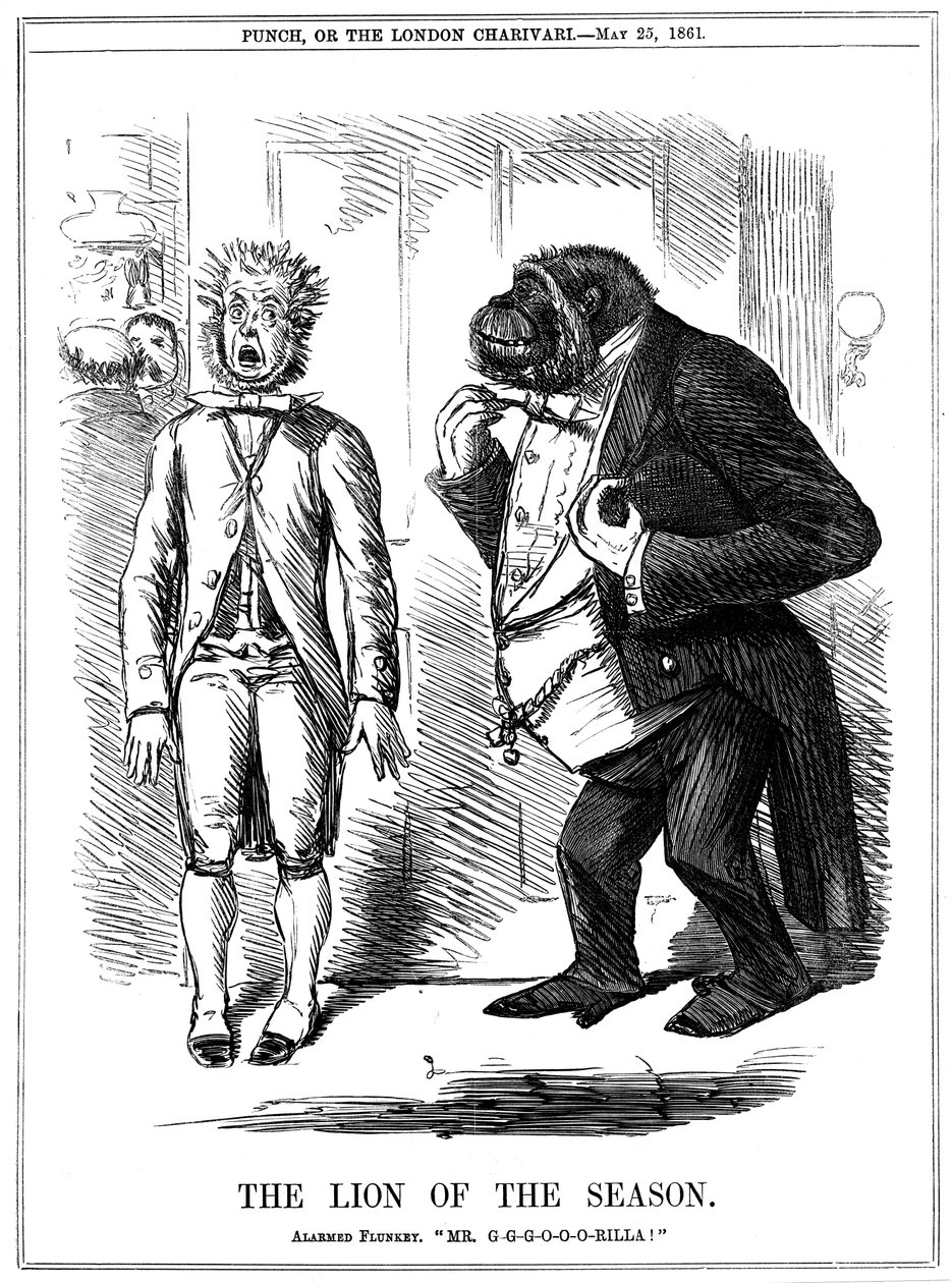 أسد الموسم 1861 بواسطة جون ليتش