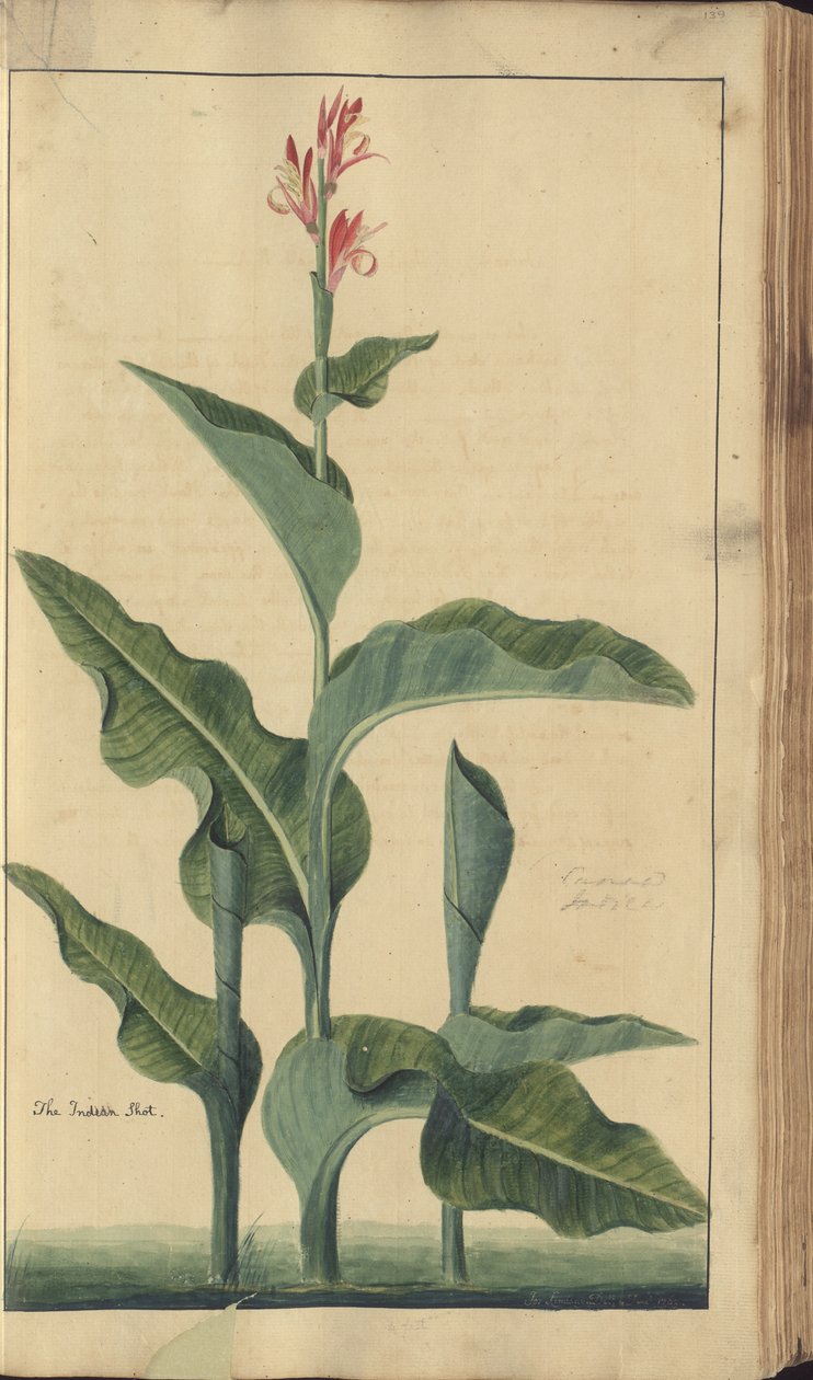 A page from the 