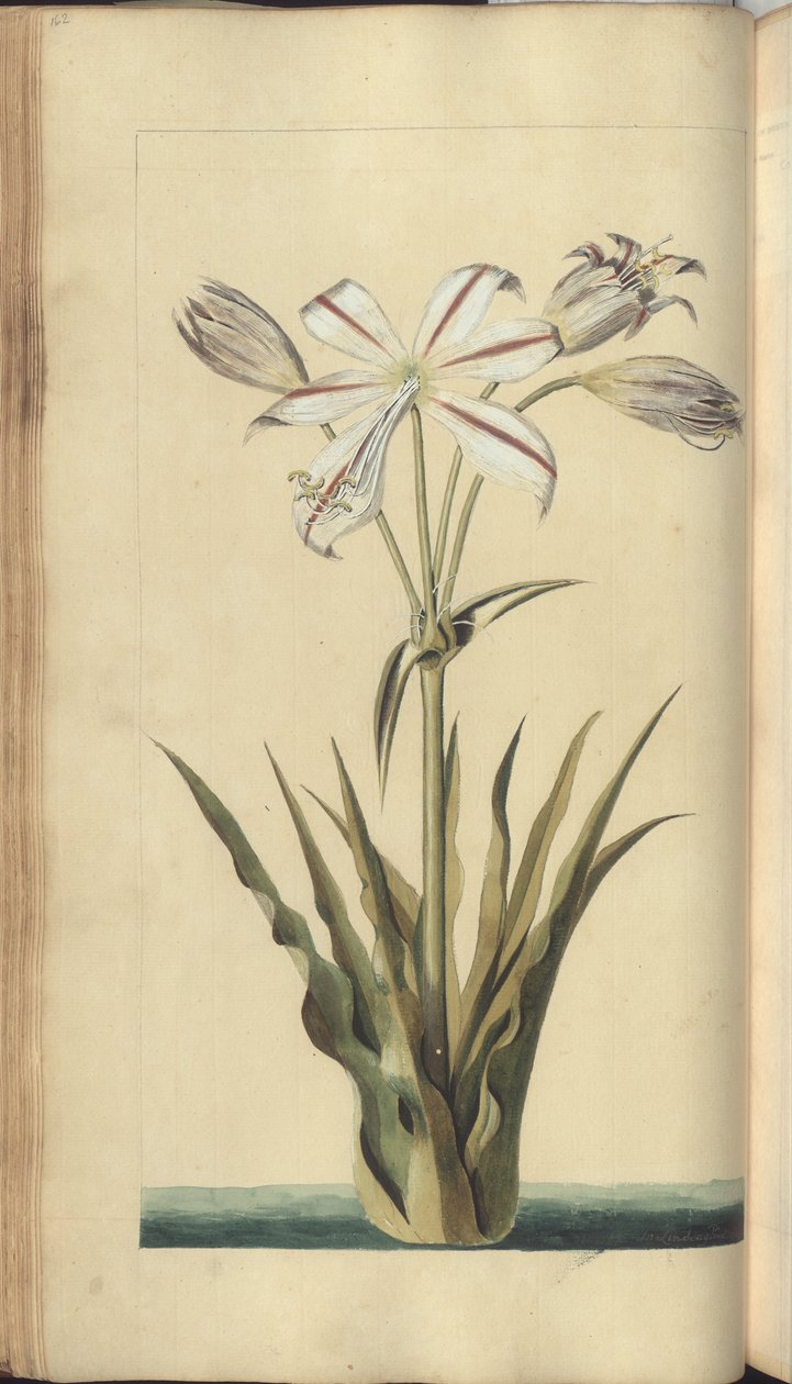 A page from the 