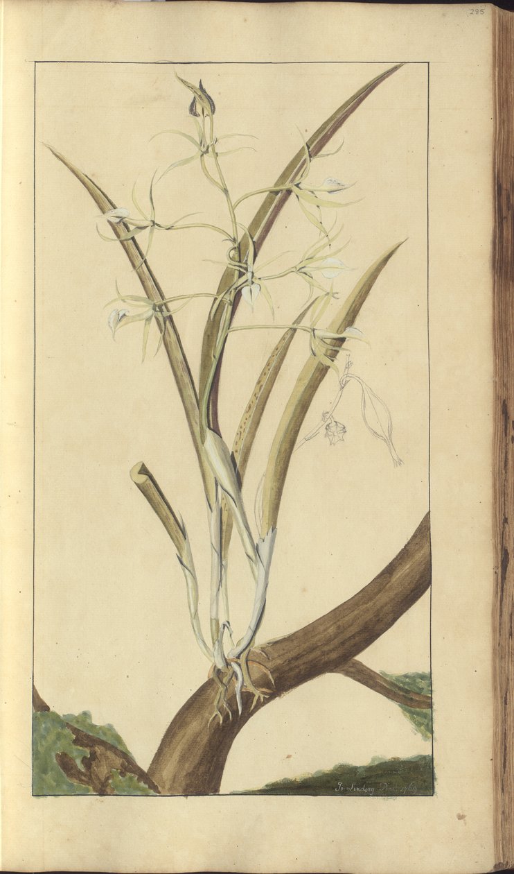 A page from the 