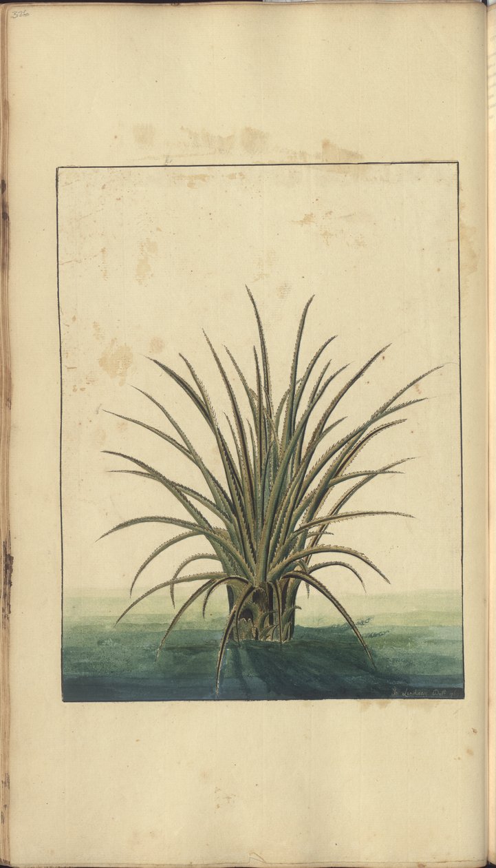 A page from the 