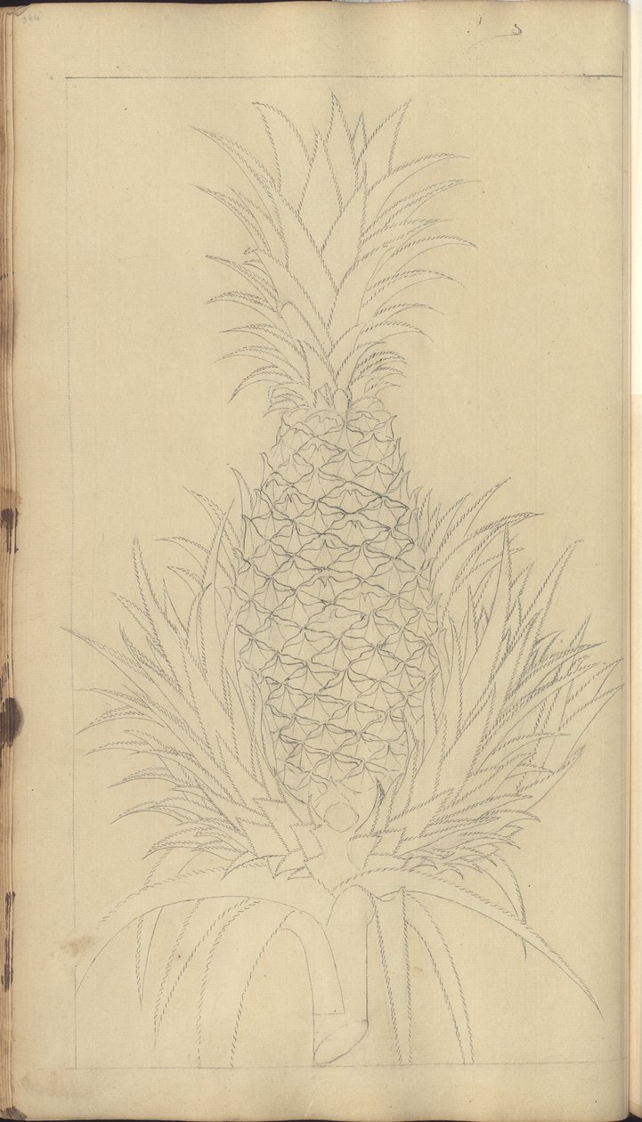 A page from the 